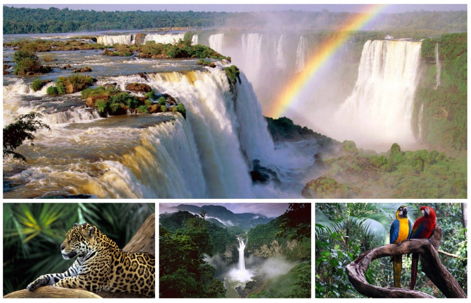 Amazon_padurea amazoniana_Iguazu Falls_Brazilia